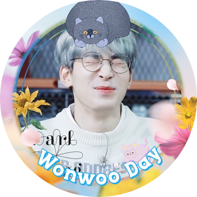 wonwoo_miiiii Profile Picture