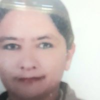 Aysel Akcelik (@ayselakcelik) 's Twitter Profile