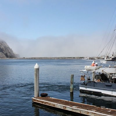 AnnaTomase89024's profile picture. 