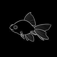 Slippery Fish Co. (@slipperyfishco) 's Twitter Profile