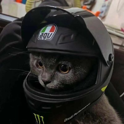 1Gz223's profile picture. 西安必吃榜  🇨🇳二级运动员