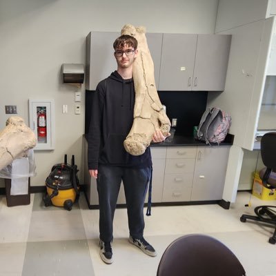 Andrew Cheek Profile