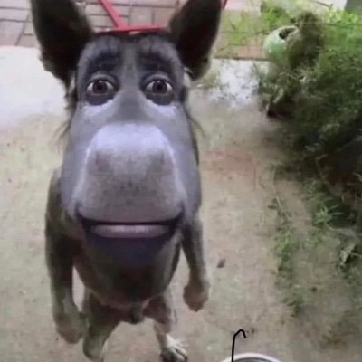 wormy321's profile picture. 