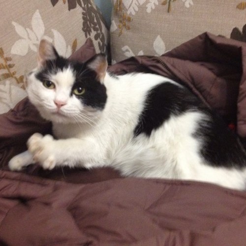 bearjing2005's profile picture. 