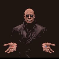 Cut The Shit (@cuttheshitpls) 's Twitter Profile