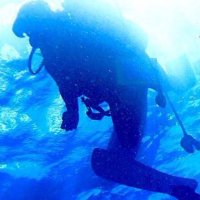 ぷー (@kujira_1819) 's Twitter Profile