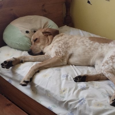 LPapakirk's profile picture. SAHM