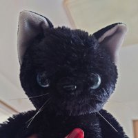 Yц ฅ (@ty_240707) Twitter profile photo