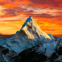 Himalaya Freedom(@Milesfollowers1) 's Twitter Profile Photo