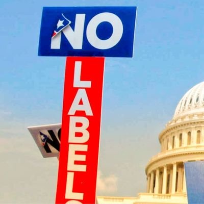 Vote No Labels, Michigan!!! ✋ 🗳️