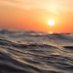 Ocean Discovery (@discoveryoganza) Twitter profile photo Ocean Discovery (@discoveryoganza) Twitter profile photo