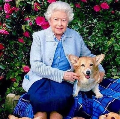 📌Team Wales/Team Edinburgh/Team HLMTQ's Corgis           
📌Believer of 'RECOLLECTIONS MAY VARY'  
📌For the love of Her Late Majesty The Queen and her corgis