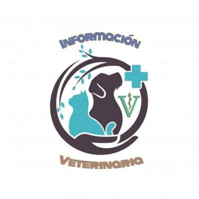 Bienvenido a esta pagina sobre informacion. 🐈🐕🐶
🛂Prevención
♿Cuidados
🗣️Promocion de la Salud Animal 🩺🐈🐕