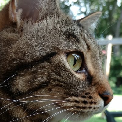 MuchOlderToday's profile picture. -Semper Vigilans.
-Prototype, Learn, Modify, Repeat.
-It's my own fault 90% of the time.
-Me screwing up is better than paying you to screw it up for me.