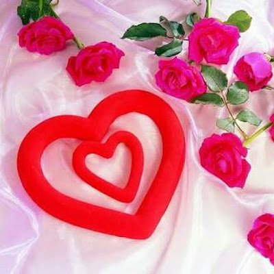 sahildarbi's profile picture. 