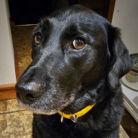 Deb Watters (@h20sd) 's Twitter Profile Photo Deb Watters (@h20sd) 's Twitter Profile Photo