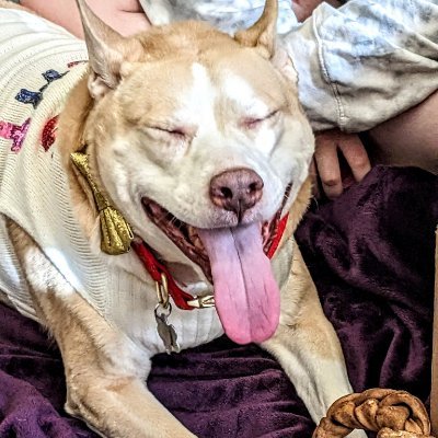 MikeJTardif's profile picture. I am a disabled laborer. I do not use family money for myself. Buy me a ko-fi at https://t.co/MC6oQvEpJs for subscriptions, fees, fines, and damages.