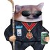 Mechanical "Nasty Cdn" Fella (@mxrabbit) Twitter profile photo Mechanical "Nasty Cdn" Fella (@mxrabbit) Twitter profile photo
