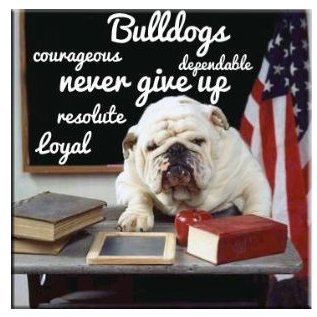 Husband | paralegal | bulldogs | proud Levinite | intellectual introspection | conservative disposition | healthy skepticism | moral objectivism