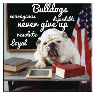 Husband | paralegal | bulldogs | Jets fan | proud Levinite | intellectual introspection | conservative disposition | healthy skepticism | moral objectivism