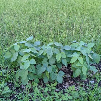 chie_9022taku's profile picture. 