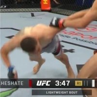 Steve Garcia’s Comeback (@knucsandwichmma) 's Twitter Profile Photo