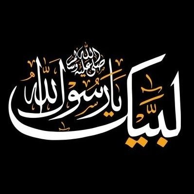 AmaanSheri's profile picture. TAJDAR E KHATM E NABUWAT ZINDABAAD👑💚