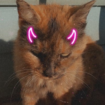 drawyourcatdrnk Profile Picture