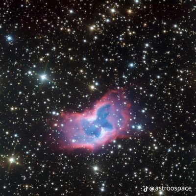 noturifff's profile picture. 