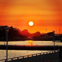 Neftalem Negussie (@neftalemt) 's Twitter Profile Photo