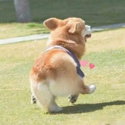 SiyeSong55314's profile picture. hello