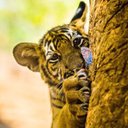 Bright Mark - @BrightMark7444 - Twitter