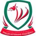 Wales Vets Football (@WalesVets) Twitter profile photo