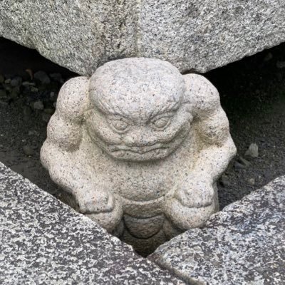qTJW7CIcF6T8jQ4's profile picture.