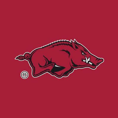 SecParaHawg's profile picture. WPS🐗