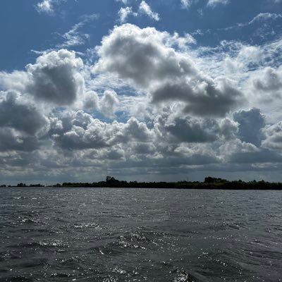 beetjeobservere's profile picture. 