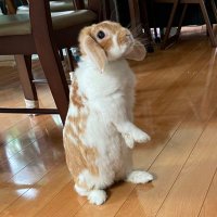 noricocco (@noricocco23) 's Twitter Profile