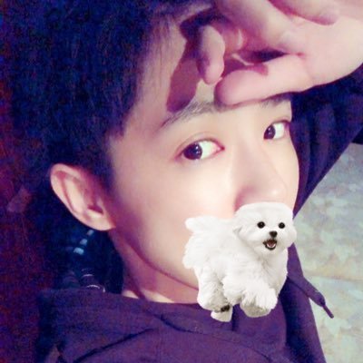 pochidq10's profile picture. オスのプク（忠犬）熟女好き、既婚者ですが職場の同い年の同僚にときめいてます。ヘタレのポンコツ。早漏日本代表。好きな芸能人は大久保佳代子と田中美佐子です。