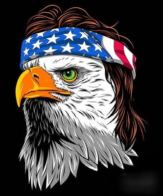 100% American patriot 🇺🇸 MAGA 🇺🇸 
Gen-X and won't take your shit.
I love America and will fight for it!
Trolling = Mute or Block