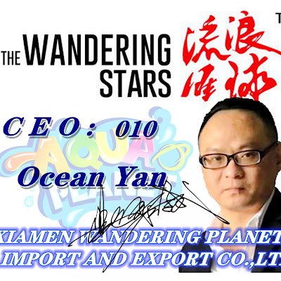 Yang_libing2's profile picture. 