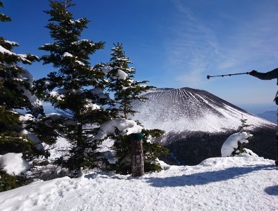 fx73696's profile picture. 