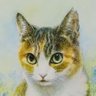 chii_mimi's profile picture. 薔薇好き🌹育ててます。
縞三毛チー😺キジ白ミミ😺
２匹の猫を譲渡していただいた保護主さん宅の猫の肖像画と
遅筆ですが創作イラストも頑張ります🙇🏻‍♀️
https://t.co/khtxt4VgjZ

　新入りは牛柄マッシュ😸
インスタ更新は数ヶ月毎😣
いいね返信等遅いと思います🙏💦