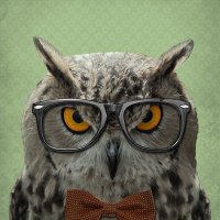 Shared Wisdom School (@sharedwisdom) 's Twitter Profile