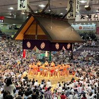 ぴよっこ (@mfsvlivfq1gugz3) 's Twitter Profile