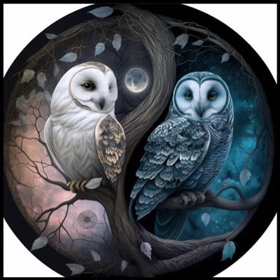 ruiz_joey8's profile picture. print(Hello World!)