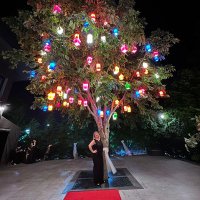 Hülya Gönülkırmaz (@floraanka) 's Twitter Profile Photo