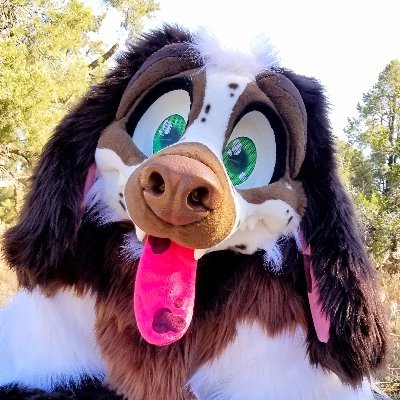 🐾 Woof! 🐾
30s • Im a chick in a dog costume • longhaired pointer • Artist 🖍 • Rocker • 
Suit made by @MoreFurLess