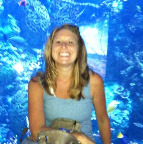 schaepm's profile picture. 