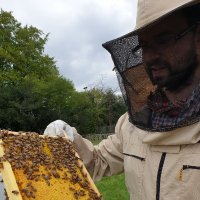 Vincent Geoghegan (@vincentgeogheg2) 's Twitter Profile
