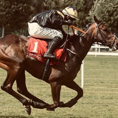 Ben Halsall Profile